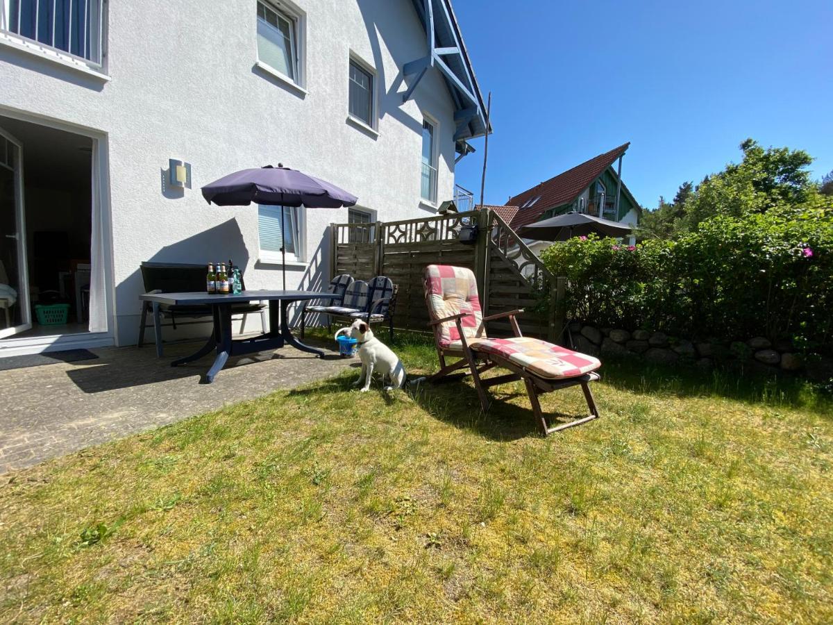 Duenenresidenz Karlshagen - Ferienwohnung Ginsterweg エクステリア 写真