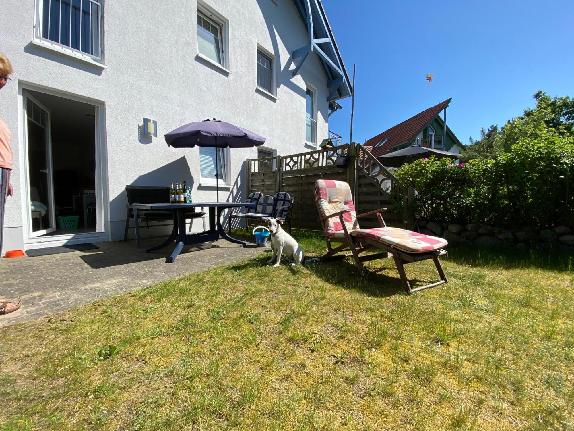 Duenenresidenz Karlshagen - Ferienwohnung Ginsterweg エクステリア 写真