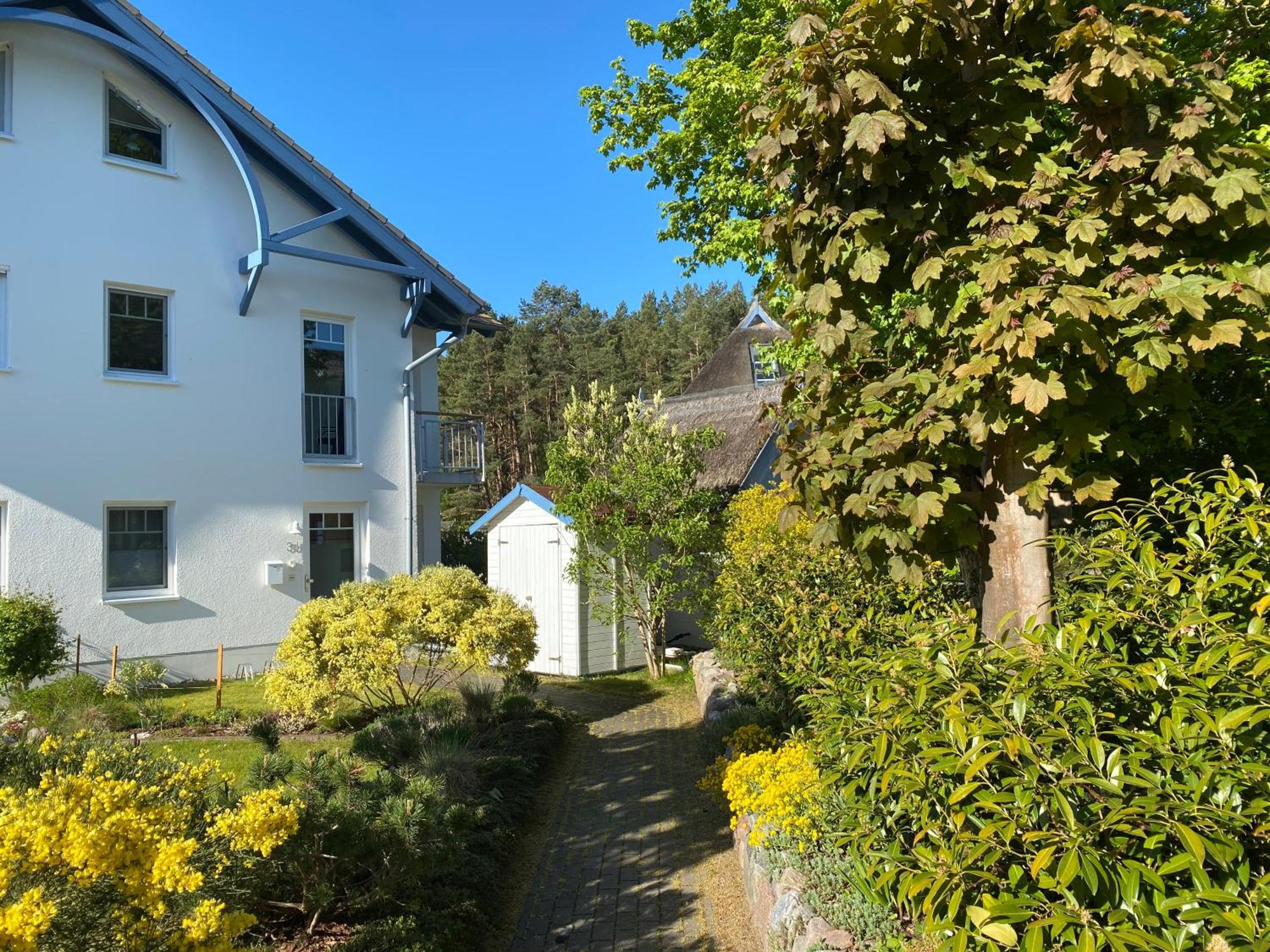 Duenenresidenz Karlshagen - Ferienwohnung Ginsterweg エクステリア 写真